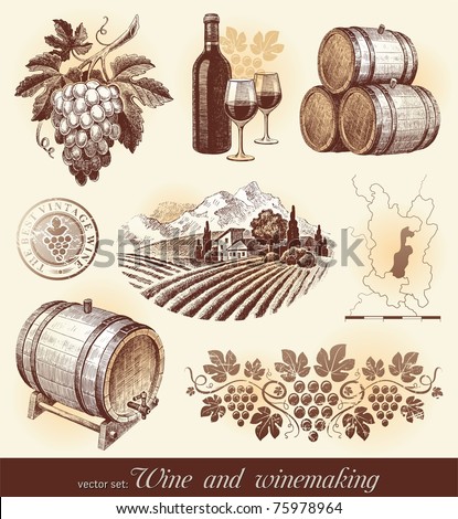 Hand drawn vector set - wine and winemaking