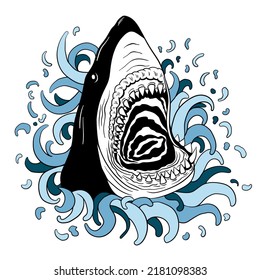 Hand drawn vector shark illustration for tshirt prints, posters and other uses.