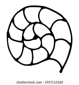 Hand drawn vector shell illustration. Isolated objects on white.