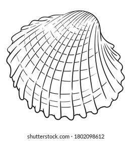 Hand drawn vector of shell isolated on white background for coloring page. Black and white  stock illustration of mollusk for coloring book.