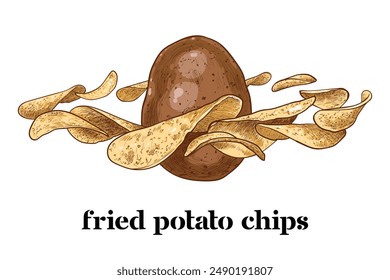 Hand drawn vector side view potato and chips. Floating chips around a potato with outline, fill, details in separate groups.This asset is ready to use and easy to edit. 