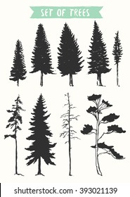 Hand drawn vector silhouette of pine and fir trees