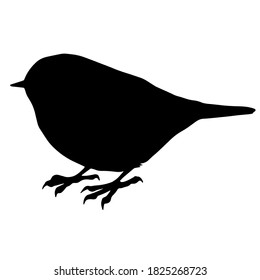 Hand drawn vector silhouette of standing coal tit  isolated on white background. Black and white  stock illustration of wild bird.