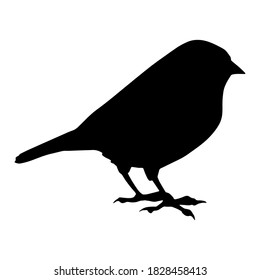 Hand drawn vector silhouette of standing European goldfinch isolated on white background. Black and white  stock illustration of wild bird.