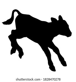 Hand drawn vector silhouette of standing calf isolated on white background. Black and white  stock illustration of baby cow.