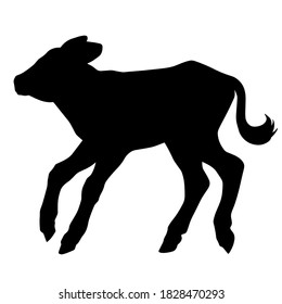 Hand drawn vector silhouette of standing calf isolated on white background. Black and white  stock illustration of baby cow.