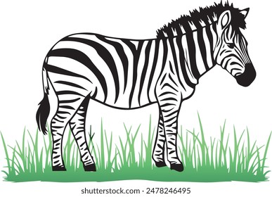 Hand drawn Vector  silhouette Zebra