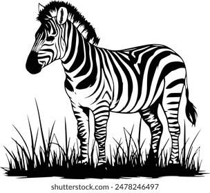 Hand drawn Vector  silhouette Zebra