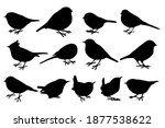 Hand drawn vector silhouettes of small forest birds on white background. Black and white  stock illustration of wild birds.