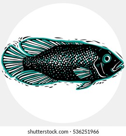 Hand drawn vector simple fish isolated, seafood graphic element. Underwater life, illustration of single fish.