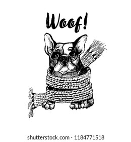 Hand drawn vector skech of cute french bulldog