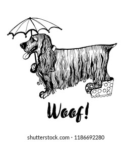 Hand drawn vector skech of funny cocker spaniel