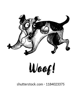 Hand drawn vector skech of playng Jack russel dog