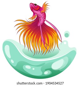 Hand drawn vector sketch betta fish, colorful fancy fantail fish.  aquarium fish. Illustration.