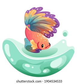 Hand drawn vector sketch betta fish, colorful fancy fantail fish.  aquarium fish. Illustration.