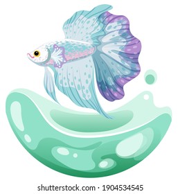 Hand drawn vector sketch betta fish, colorful fancy fantail fish.  aquarium fish. Illustration.