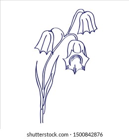 Hand drawn Vector sketch. Bluebell. Illustration with bluebell isolated on white background.