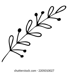 Hand drawn vector sketch of branch with leaves and berries isolated on white background
