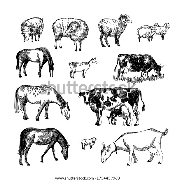 Hand Drawn Vector Sketch Farm Animals Stock Vector (Royalty Free ...