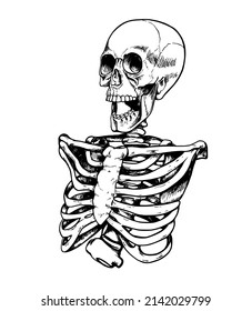 Hand drawn vector sketch of human skeleton on a white background