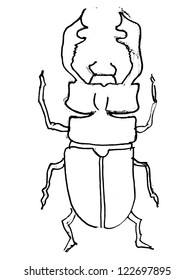 Hand drawn, vector, sketch illustration of stag-beetle
