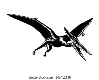 hand drawn, vector, sketch illustration of pterodactyl