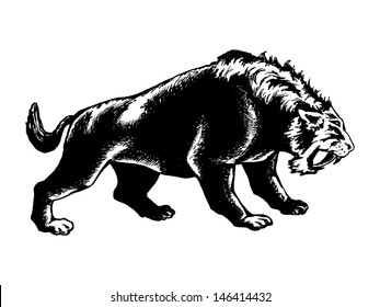 hand drawn, vector, sketch illustration of saber-toothed tiger