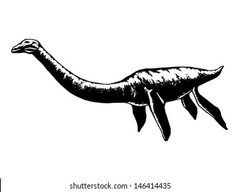 hand drawn, vector, sketch illustration of plesiosaurus