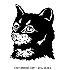 hand drawn, vector, sketch, illustration of cat, kitten