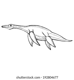 hand drawn, vector, sketch illustration of plesiosaurus