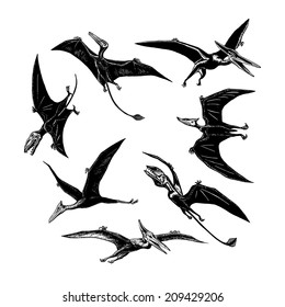 hand drawn, vector, sketch illustration of collection of prehistoric flying monsters