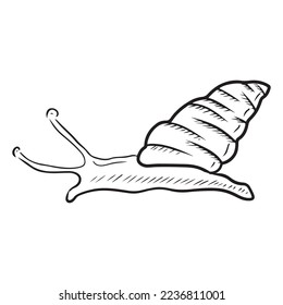 Hand drawn vector sketch illustration in doodle line simple engraved style. Candy cane snail drawing isolated on white background. Cosmetic botanical art, mucus production, pest, face lifting,delicacy