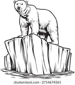 Dibujado a mano ilustración de boceto de Vector de un cachorro de oso polar sentado, un mamífero salvaje en blanco y negro