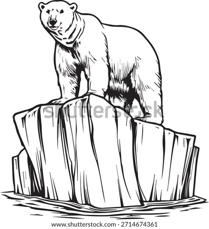 Hand drawn vector sketch illustration of a sitting polar bear cub, a black and white wild mammal