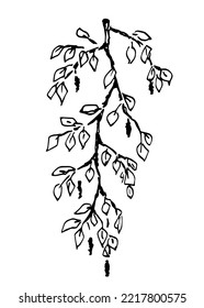 Handgezeichnete Vektorgrafik mit Tinte. Vertikale Abbildung. Hanging Birke Ast, Blätter und Katzen. Vegetation und Natur.