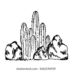 Esbozo de Vector dibujado a mano con tinta. Cactus altos, piedras Grandes, zona desértica. Naturaleza y paisaje. Dibujo de contorno negro.