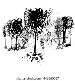 Hand drawn vector sketch. Ink illustration. Trees. Park.