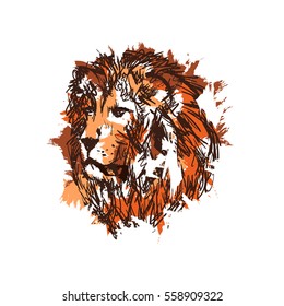 hand drawn vector sketch of Isolated lion's head.