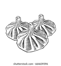 Hand drawn vector sketch of khinkalis isolated on a white. Traditional dish of Georgian cuisine