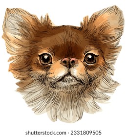 Dibujo manual de dibujo vectorial ilustración de un lindo retrato de perro sonriente aislado en blanco.