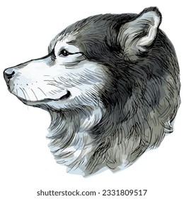 Dibujo manual de dibujo vectorial ilustración de retrato de cáscara de perro aislado en blanco.