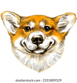 Hand drawn vector sketch marker illustration of cute smiling dog portrait isolated on white.