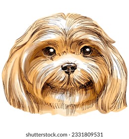 Hand drawn vector sketch marker illustration of cute smiling dog portrait isolated on white.