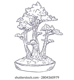 Hand drawn vector sketch of multi-trunk forest style Japanese bonsai tree in pot. Oriental line art illustration of miniature trees composition, isolated on white.