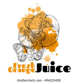 Hand drawn vector sketch of orange. Orange juice. Orange products.