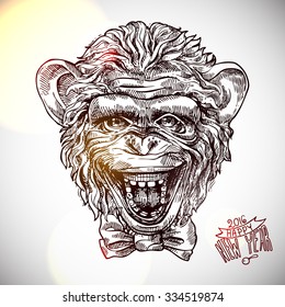 Hand- drawn vector sketch portrait of monkey symbol of New Year 2016