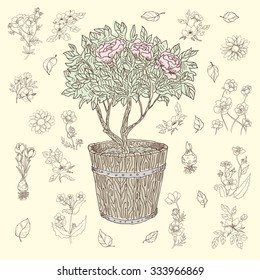 Hand drawn vector sketch of the pot flowers