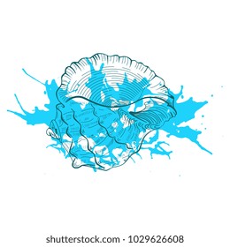  Hand drawn vector sketch seashell on grunge blue background. 