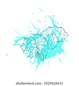  Hand drawn vector sketch seashell on grunge blue background. 