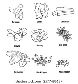 Hand drawn vector sketch set of Spices illustration line art;Turmeric, Ginger, Cinnamon, Cloves, Nutmeg, Star Anise, Cardamom, Black Pepper, White Pepper. Seasoning food design